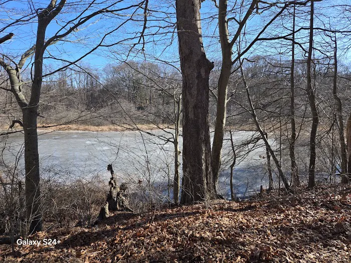 Makamah Nature Preserve Picture 1