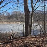Makamah Nature Preserve