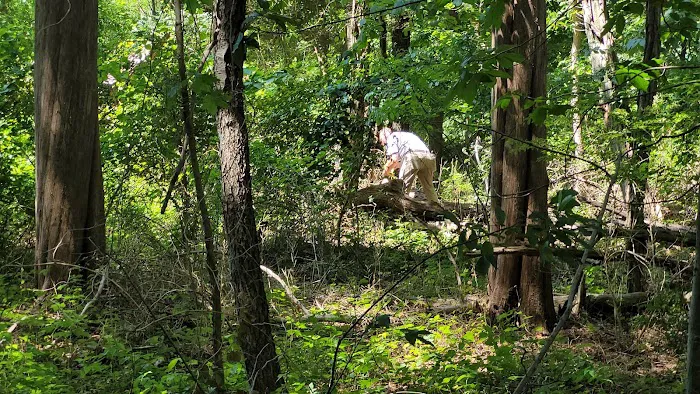 Makamah Nature Preserve Picture 5
