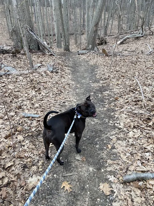 Makamah Nature Preserve Picture 9