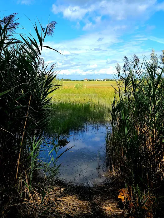 Makamah Nature Preserve Picture 8