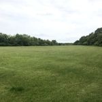 Frazer drive park
