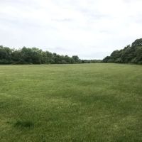 Frazer drive park ico