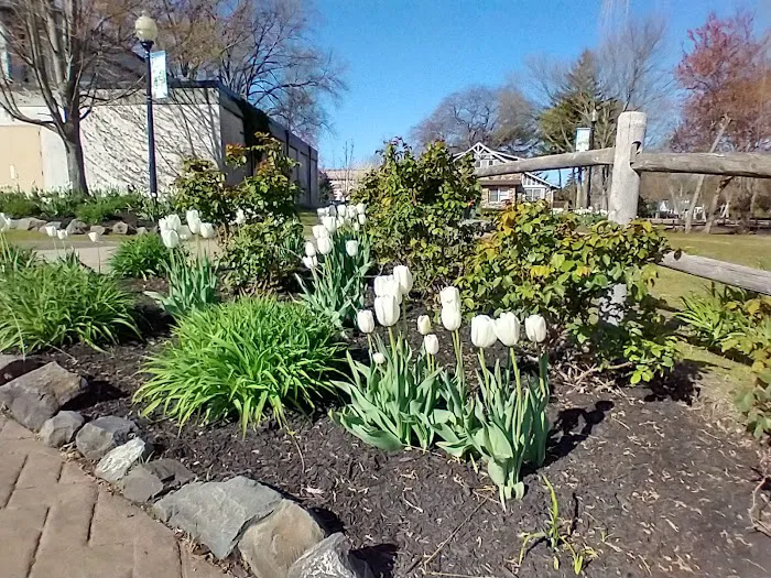 Terry Farrell Park Picture 7