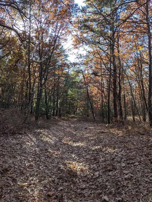 Dr. Jeffrey Wenig Memorial Park Picture 1