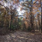 Dr. Jeffrey Wenig Memorial Park