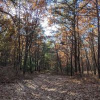 Dr. Jeffrey Wenig Memorial Park ico