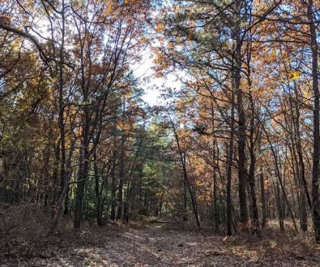 Dr. Jeffrey Wenig Memorial Park