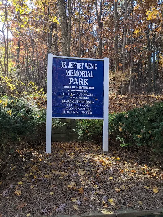 Dr. Jeffrey Wenig Memorial Park Picture 4