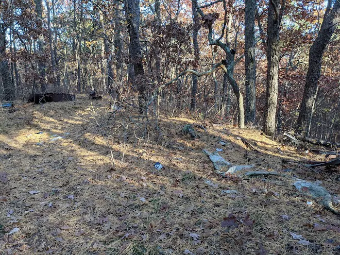 Dr. Jeffrey Wenig Memorial Park Picture 3