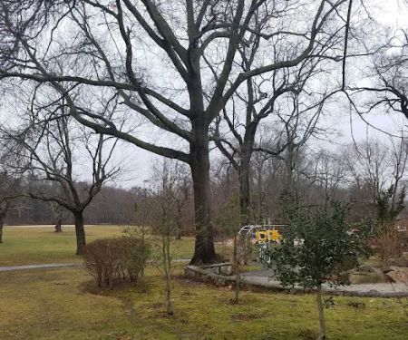 Arboretum Park