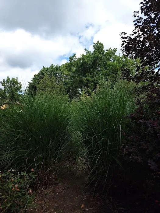 Arboretum Park Picture 10