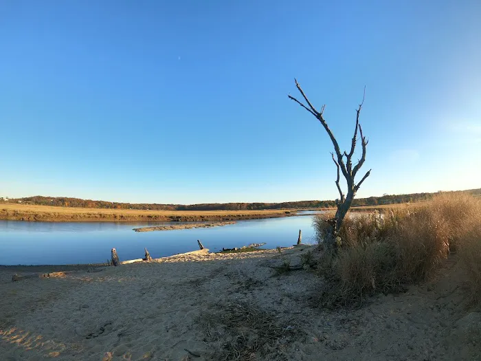 Jerome A. Ambro Memorial Wetland Preserve Picture 2