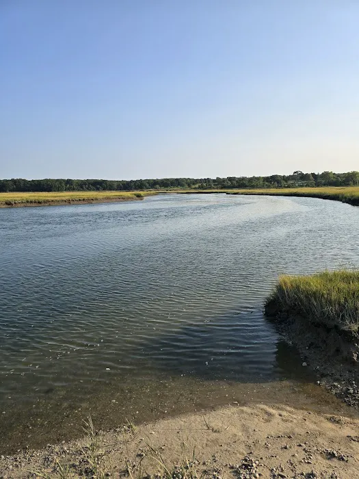 Jerome A. Ambro Memorial Wetland Preserve Picture 1
