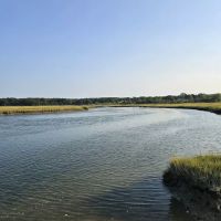 Jerome A. Ambro Memorial Wetland Preserve ico