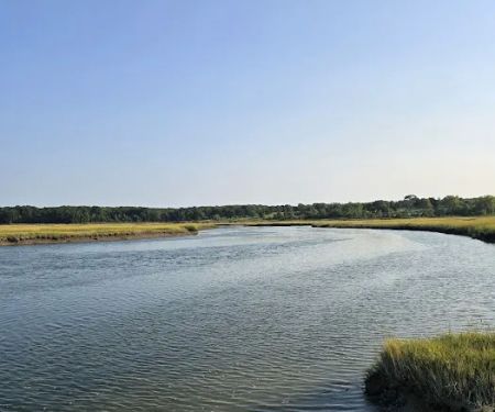 Jerome A. Ambro Memorial Wetland Preserve