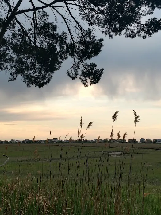 Jerome A. Ambro Memorial Wetland Preserve Picture 4