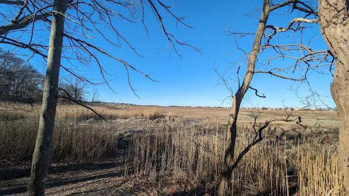Jerome A. Ambro Memorial Wetland Preserve Picture 5