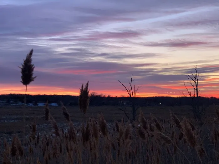 Jerome A. Ambro Memorial Wetland Preserve Picture 8