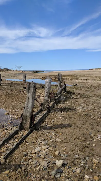 Jerome A. Ambro Memorial Wetland Preserve Picture 10