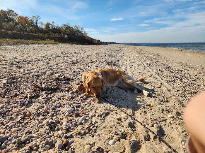 Geisslers Beach Park Picture 2