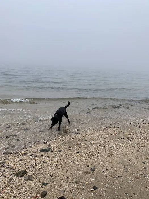 Geisslers Beach Park Picture 6