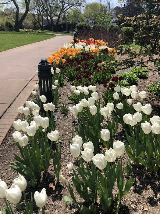 Geiger Park Picture 8
