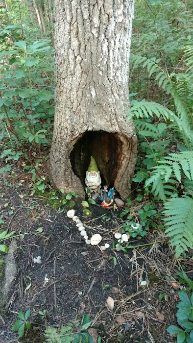 Sans Souci County Park Picture 2