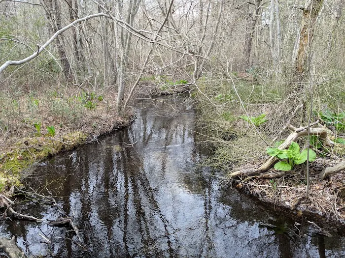 Sans Souci County Park Picture 5