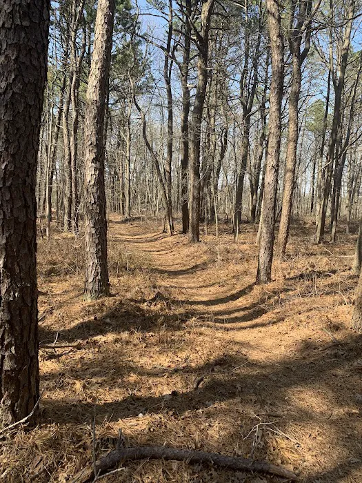Sans Souci County Park Picture 3