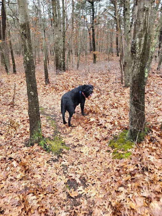 Sans Souci County Park Picture 8