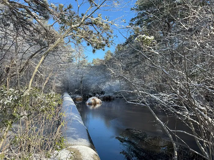 Sans Souci County Park Picture 7
