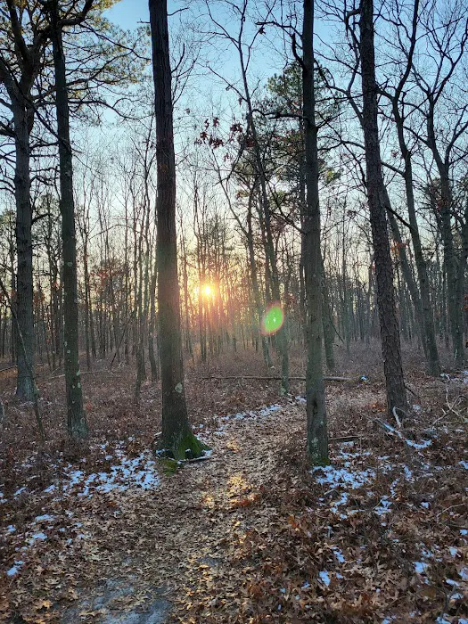 Sans Souci County Park Picture 10