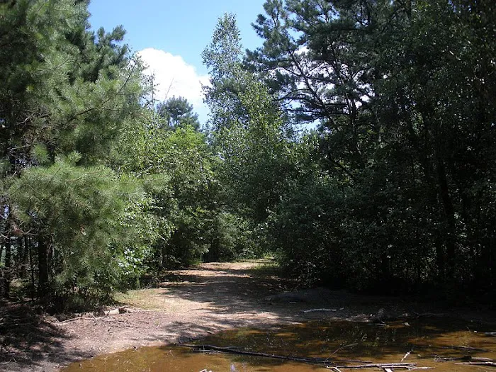 West Sayville National Wildlife Refuge Picture 2