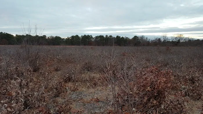 West Sayville National Wildlife Refuge Picture 3