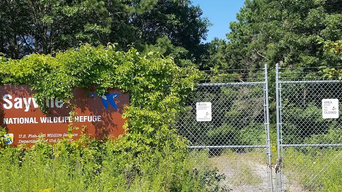 West Sayville National Wildlife Refuge Picture 4
