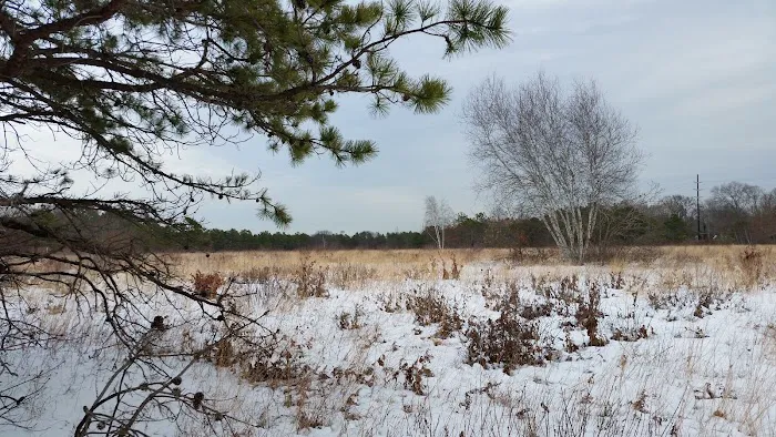 West Sayville National Wildlife Refuge Picture 5