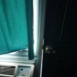 Shore Motor Inn