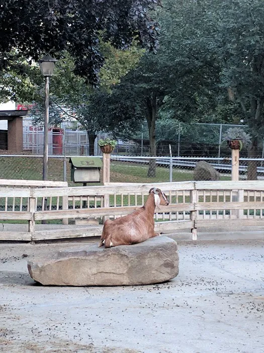 Holtsville Park Picture 2