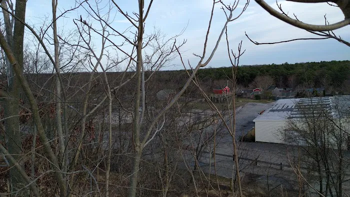 Holtsville Park Picture 5