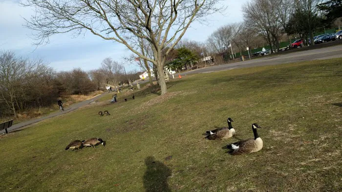 Holtsville Park Picture 4