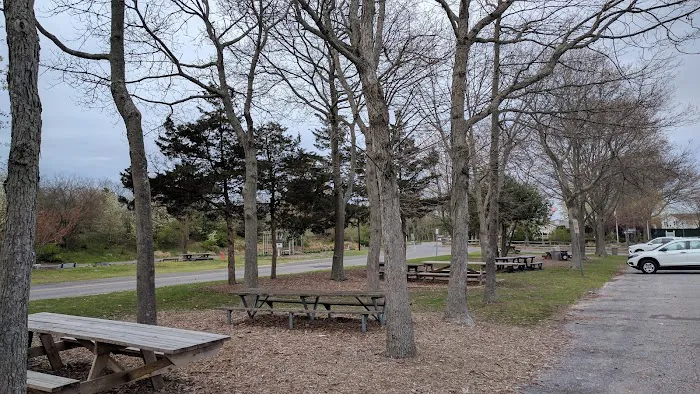 Holtsville Park Picture 6