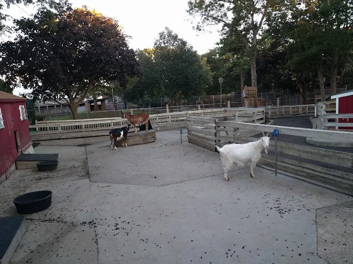 Holtsville Park Picture 9