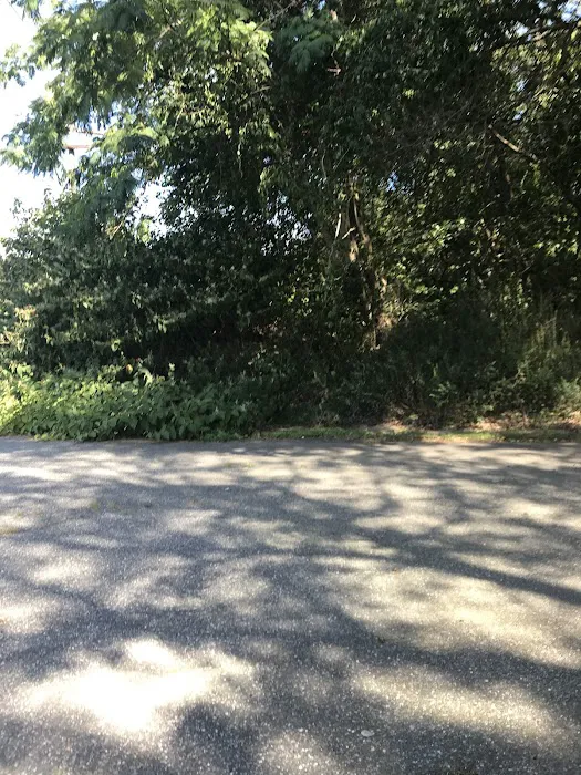Holtsville Ecogoly Site Picture 2