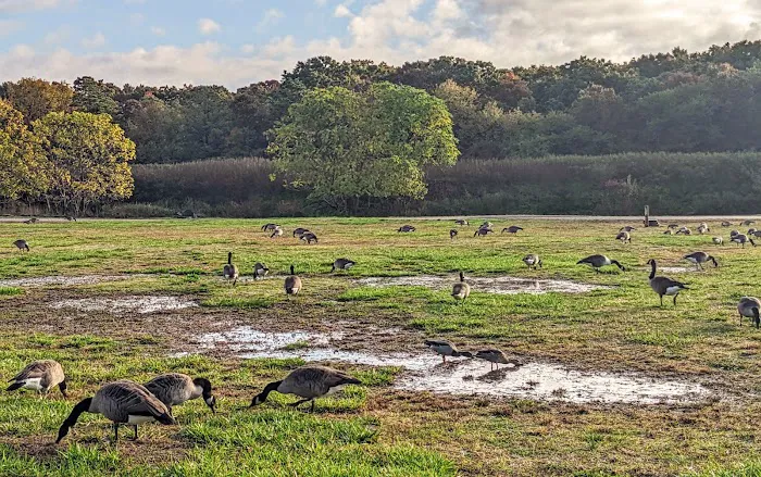 Holtsville Ecogoly Site Picture 1