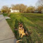Rose Caracappa Park (Liberty Park)