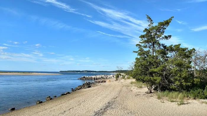 West Meadow Wetlands Reserve Picture 5