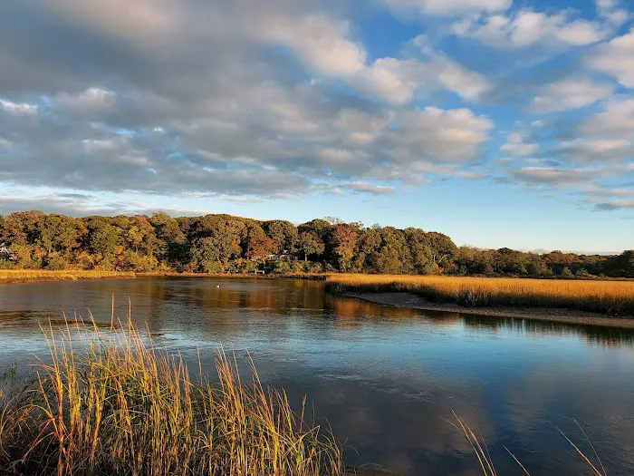 West Meadow Wetlands Reserve Picture 7