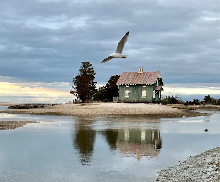 West Meadow Wetlands Reserve Picture 8