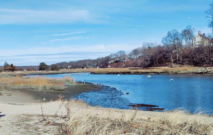 West Meadow Wetlands Reserve Picture 9